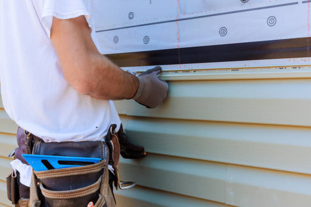 Best Custom Trim and Detailing for Siding  in Petersburg, IN